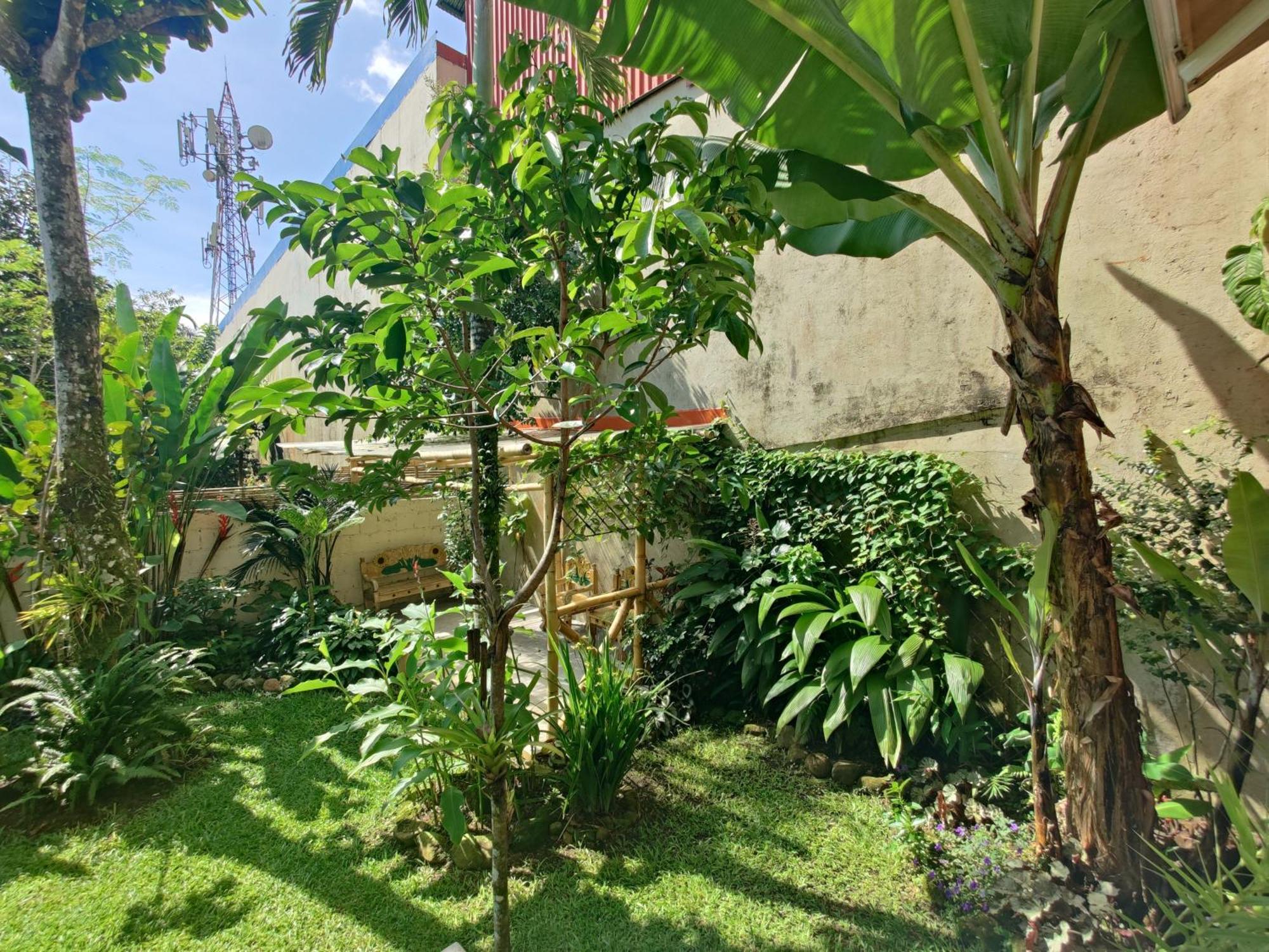 Casa De Lis Hotel & Tourist Info Centre Turrialba Kültér fotó