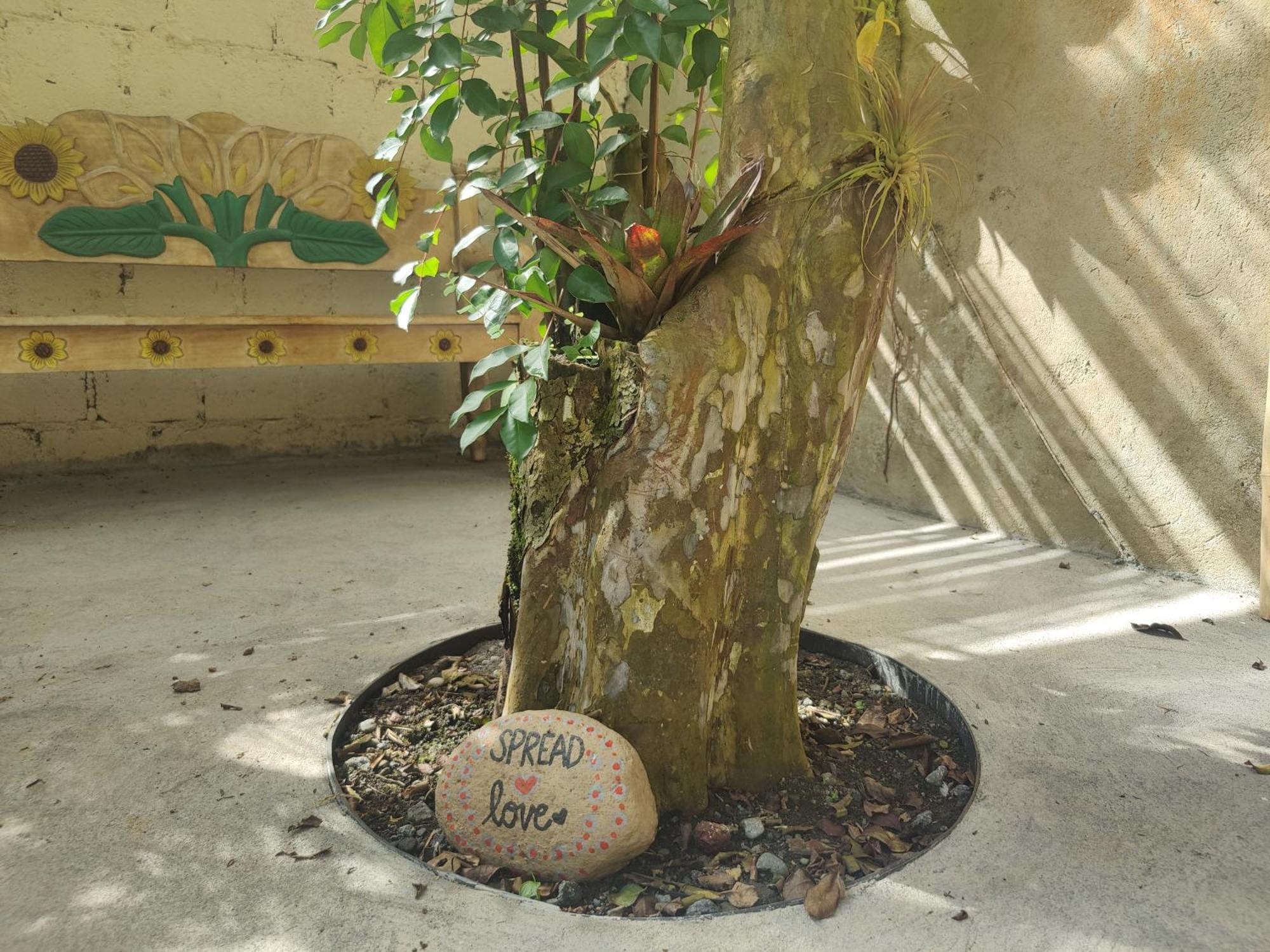 Casa De Lis Hotel & Tourist Info Centre Turrialba Kültér fotó